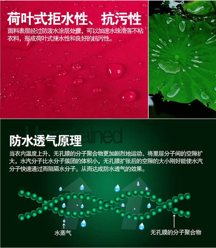 荷葉性拒水性，坑污性圖片