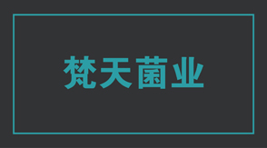 食品行業(yè)淮安工作服設計款式